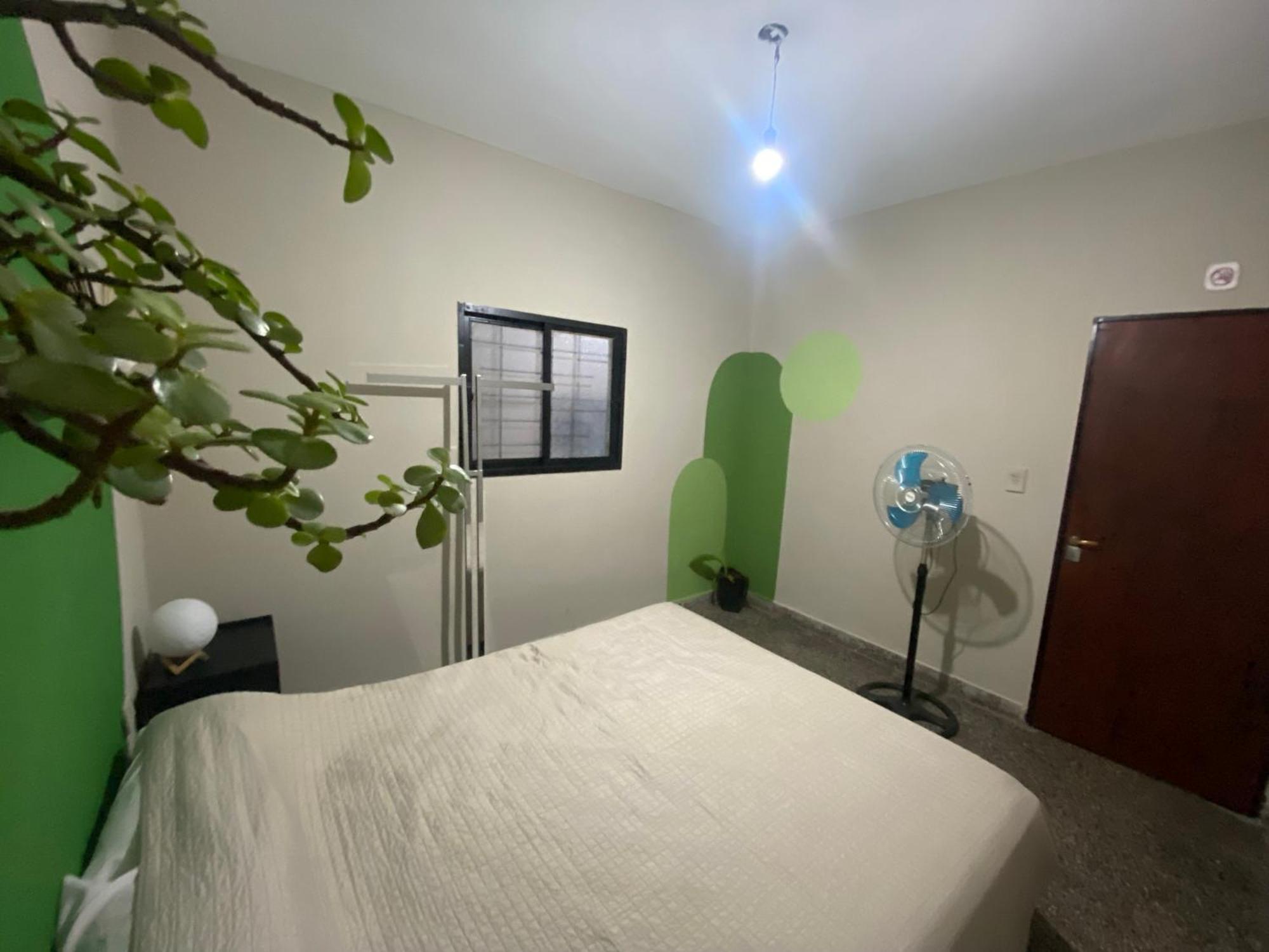 Urban Jungle Hostel San Miguel de Tucuman Luaran gambar